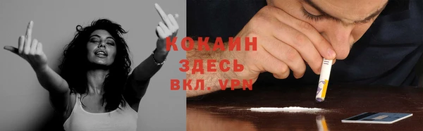 индика Алексеевка