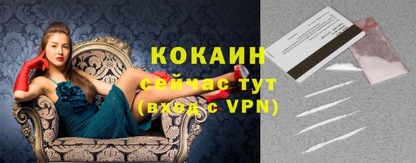 индика Алексеевка