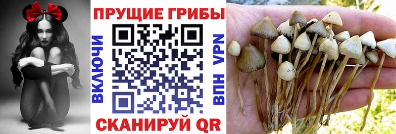 Галлюциногенные грибы MAGIC MUSHROOMS  Купить закладки  Апшеронск 